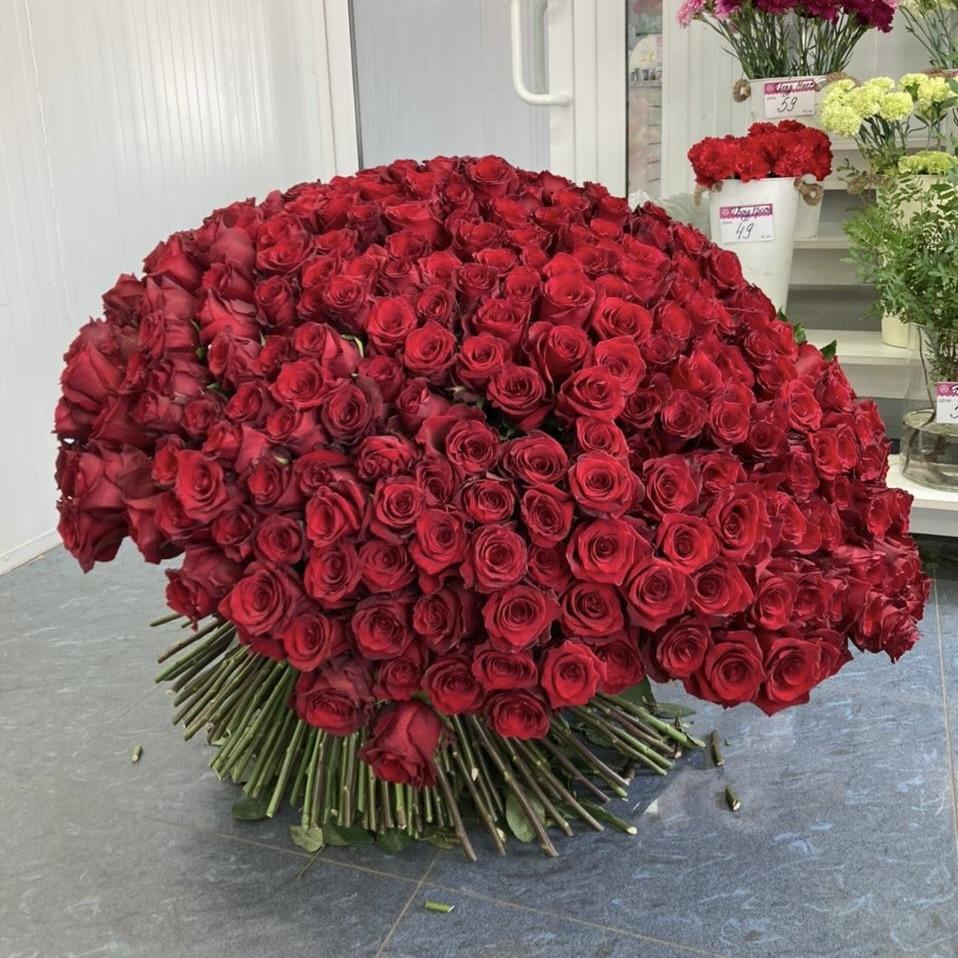 Букеты из красных роз 80 см (Эквадор) articul: 195132