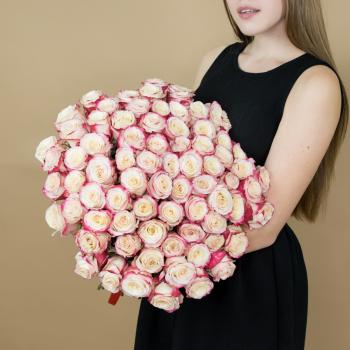 Розы красно-белые 75 шт 40 см (Эквадор) артикул букета   85813