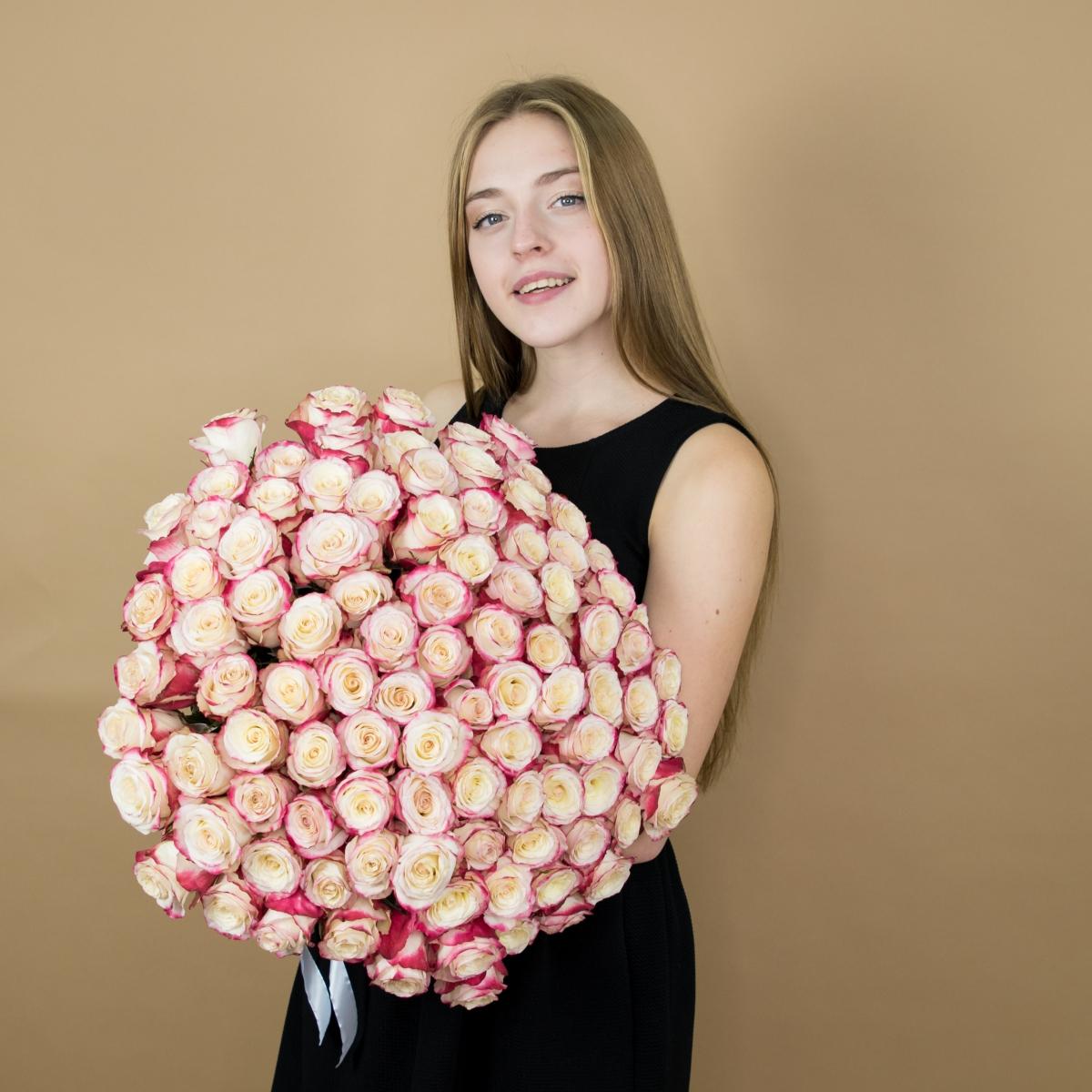 Розы красно-белые 101 шт. (40 см) Артикул  85974