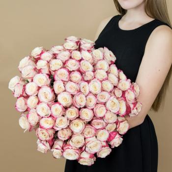 Розы красно-белые 101 шт. (40 см) Артикул  85974