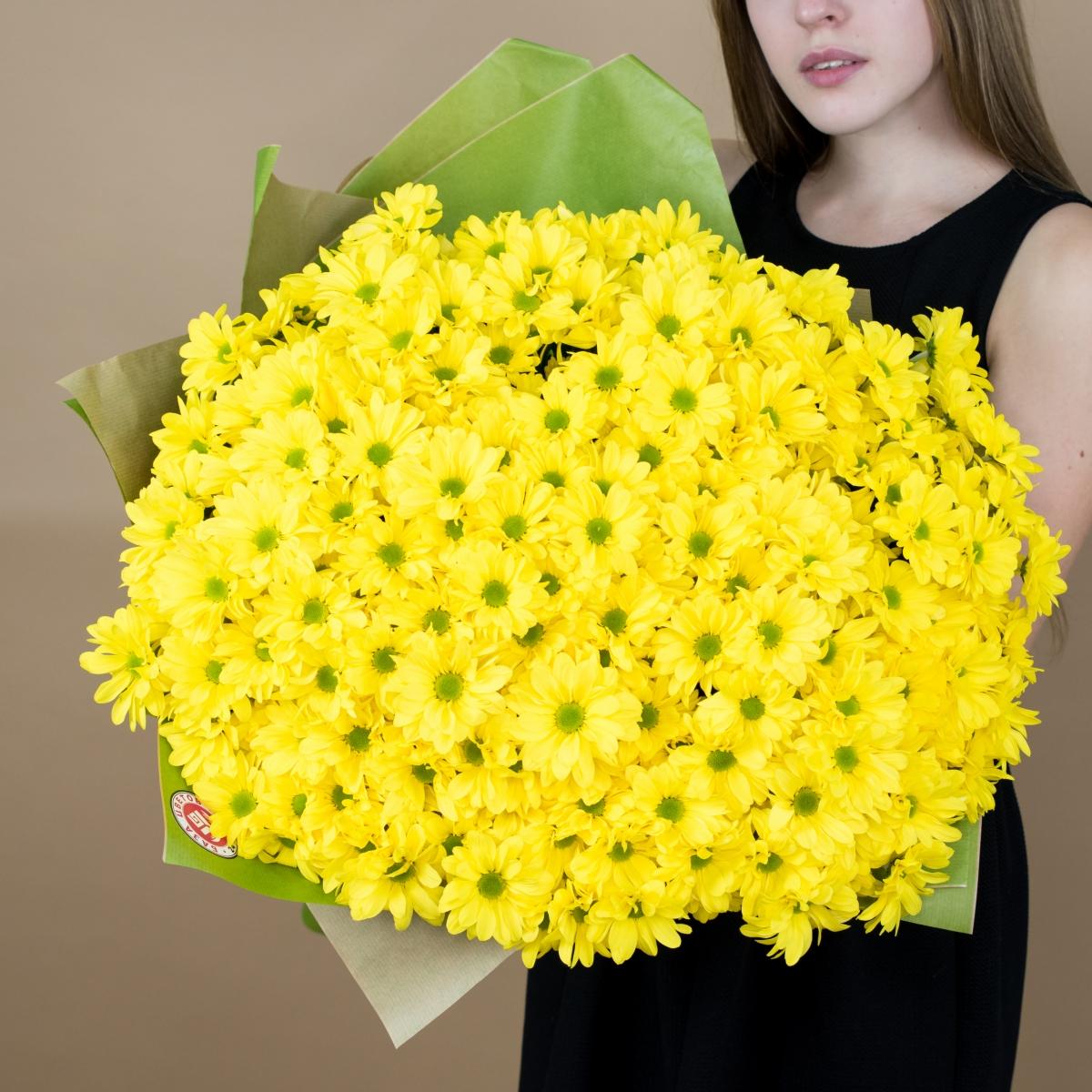 Хризантема кустовая желтая артикул букета  89033