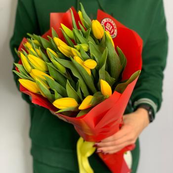 Тюльпаны желтые 25 шт №  136206
