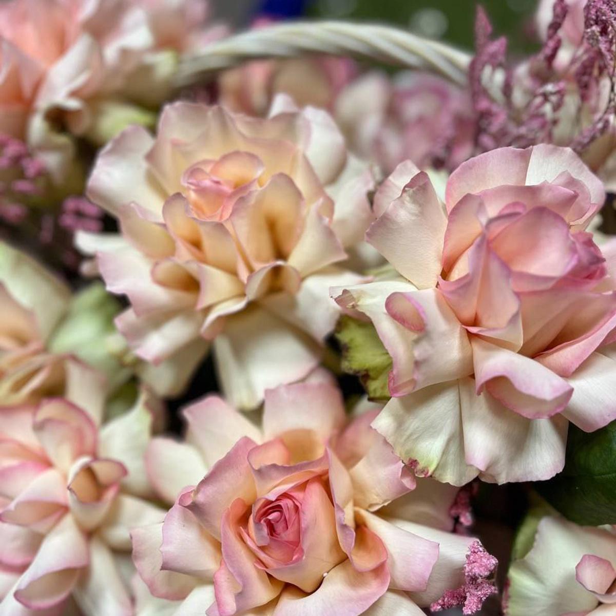 19 бело-розовых роз в корзине